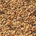 مكسرات مشكلة محمصة ومملحة نولا